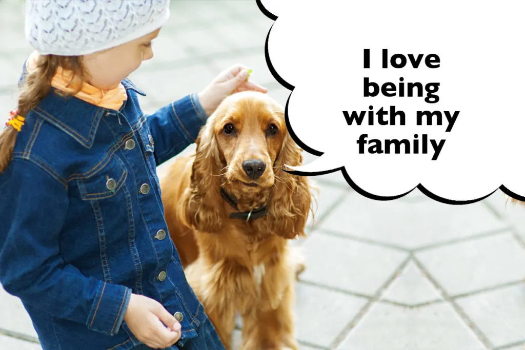 Little girl outside with her Cocker Spaniel with a speech bubble that says 'I love being with my family'